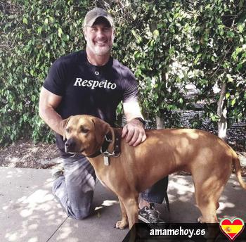 pieters - date a Spanish, 100% free pieters